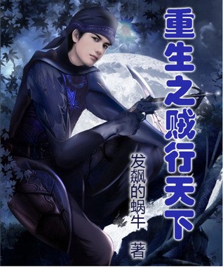 Rebirth of the Thief Who Roamed the World